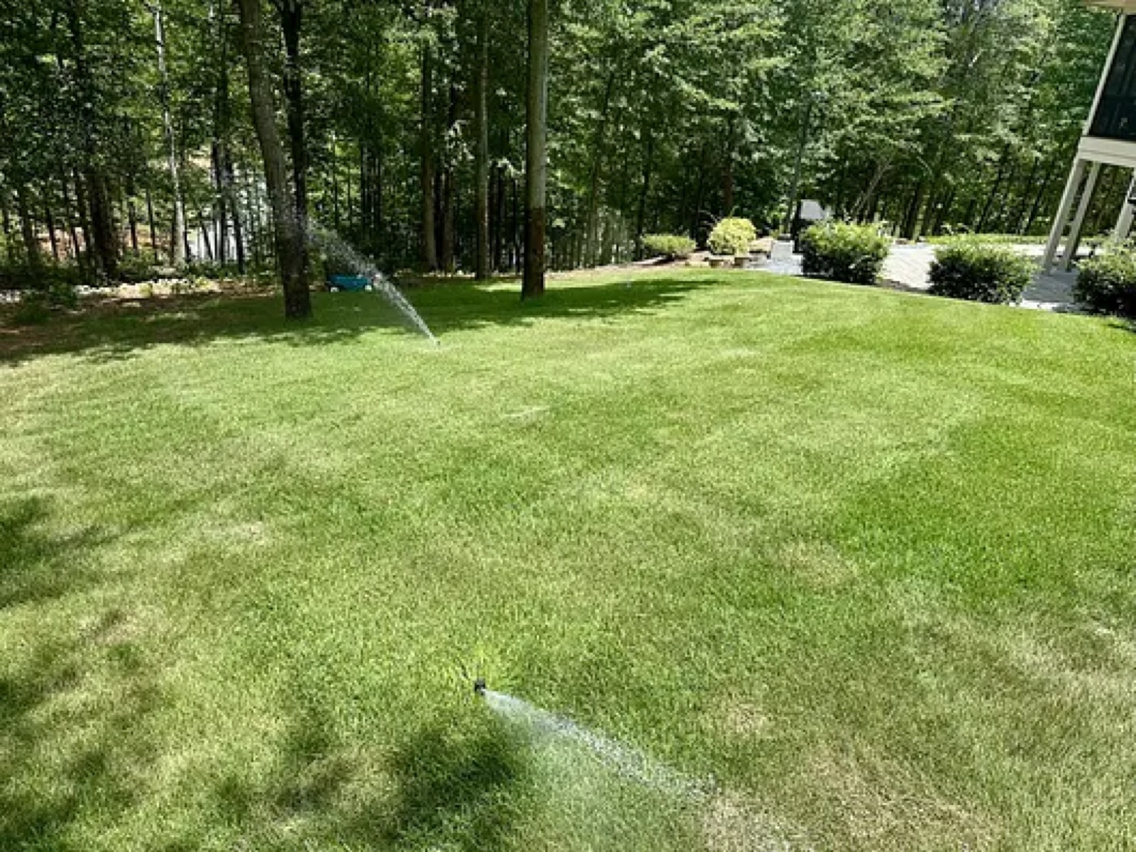 The Native Turf Care team